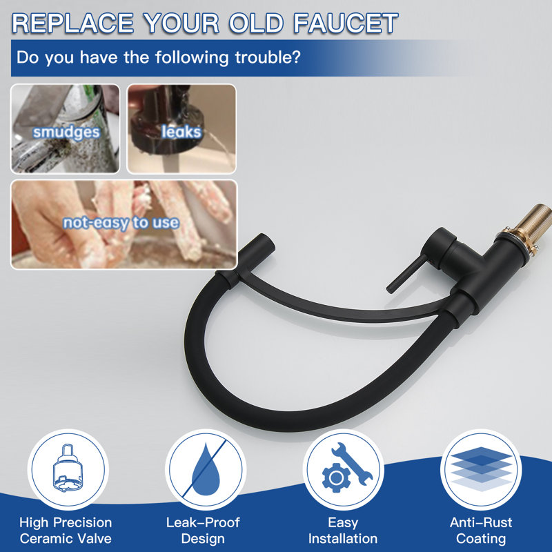 Robinet de cuisine rétractable à poignée simple avec accessoires, Noir mat