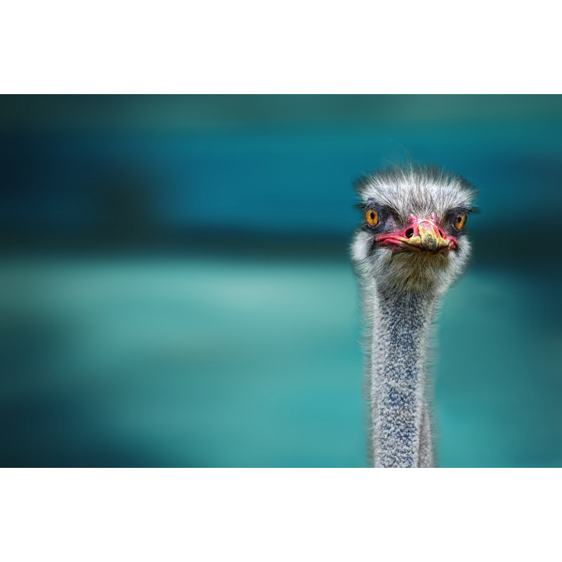 Wrapped Canvas Print, 76.2 cm H x 50.8 cm W