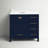 Irene 36'' Single Bathroom Vanity with Engineered Marble Top-1398232727