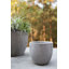 Trixie Newport Pot