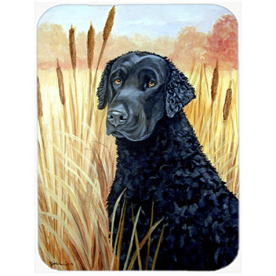 Caroline's Treasures Curly Coated Retriever Glass Cutting Board
