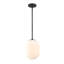 Luminaire suspendu simple à 1 lumière Kiani-157171230