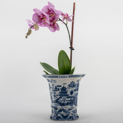 Handmade Planter