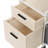 Ziolkowski 2-Drawer Mobile Vertical Filing Cabinet-109048967