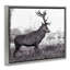 "Elk in Peaceful Forest", art mural sur toile flottante par Jasper Huish-1835761367-1835761366