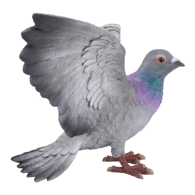 AILES DE PIGEON, Bleu/gris