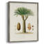 Arbre antique avec fruit, impression encadrée en V - bois massif-990276265