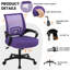  Mesh Desk Chair-1004038887-1051390786