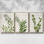 Botanical Wash I 3 pièces-97758418-97758422