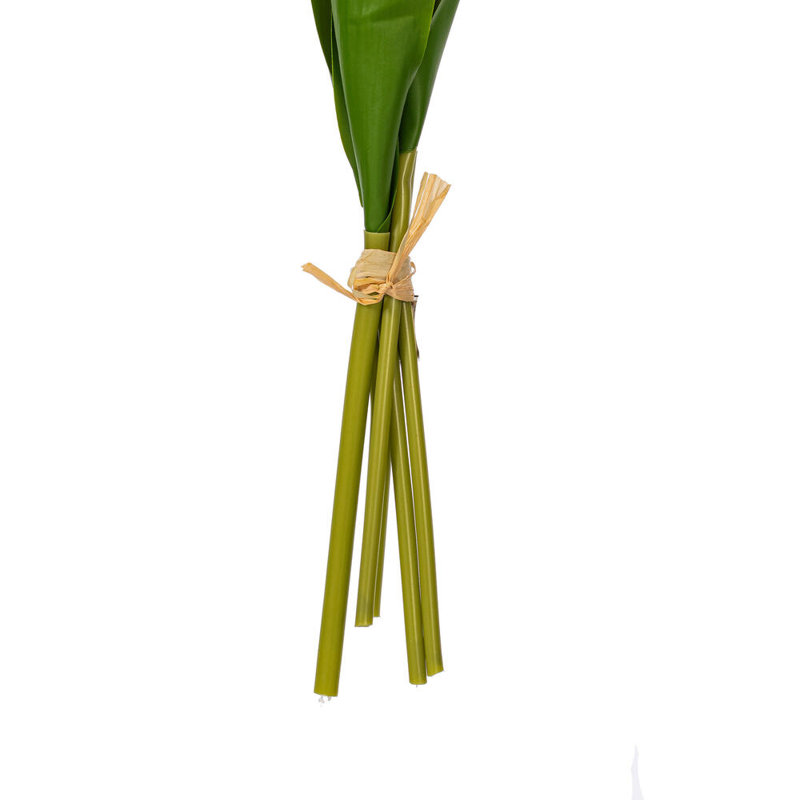 Vickerman 16"H Plum Tulip Bundle of 5., White