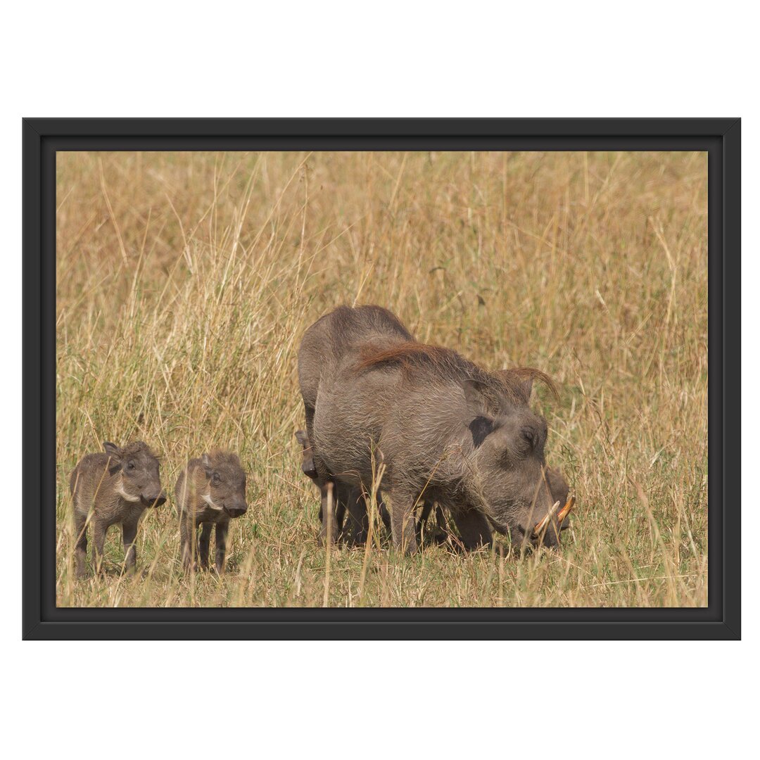 Gerahmtes Wandbild Warzenschweinfamilie Savanne