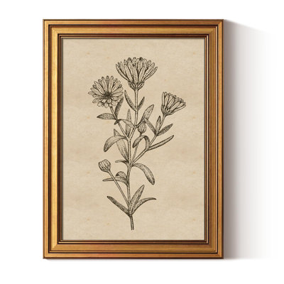 Gold Framed Canvas Art Prints,12X16inch, Botanical Wildflower Art Painting, Vintage Country Decor For Bathroom Bedroom Kitchen Shelf, Rustic Cottagecore Minimalist Plant Pictures