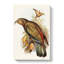 Kea Parrot by Elizabeth Gould - Wrapped Canvas Painting-55362962