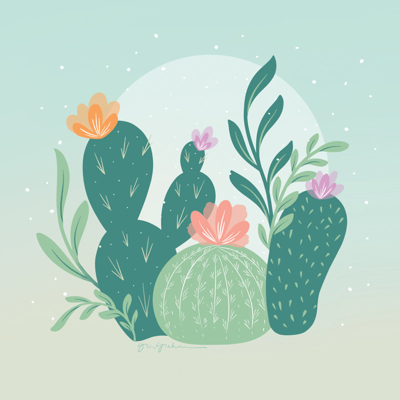 Cactus Garden IV sur toile, H 12 po x l 12 po