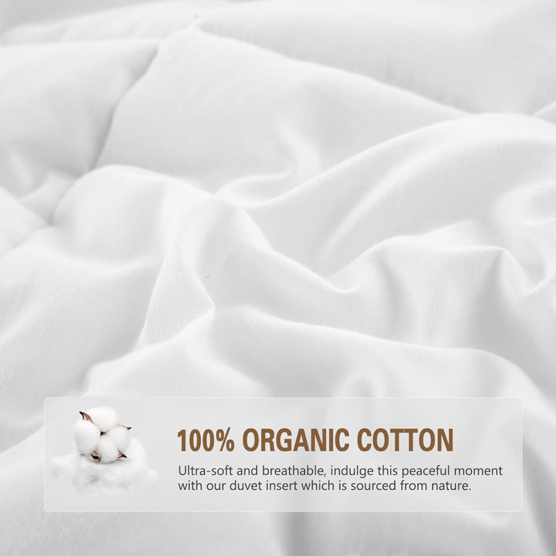 All Seasom Goose Down And Feather And 100% Cotton Cover - Stand-Alone Down Comforter, Queen Down Comforter
