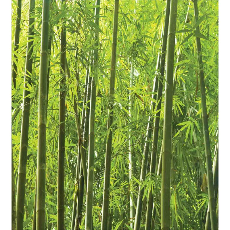 Green Bamboo Print Queen Duvet Cover Set with Shams