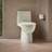 Reach 1.28 GPF Water Efficient Elongated Toilet-107149311