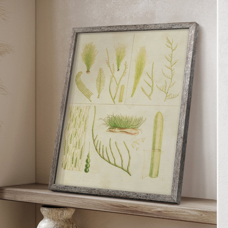 «Vintage Sea Grass VI», reproduction encadrée - bois massif, H 11 po x l 9 po