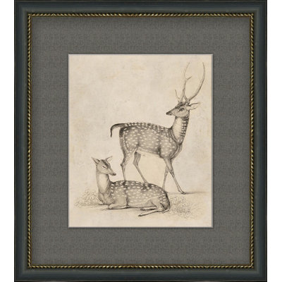 Antique " Antique Deer " Painting Print