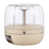 Cream White；clear