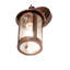 1 - Light Armed Sconce