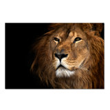 Prideful Lion Print