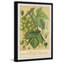 Common Grape Vine - reproduction de cadre photo-97493389
