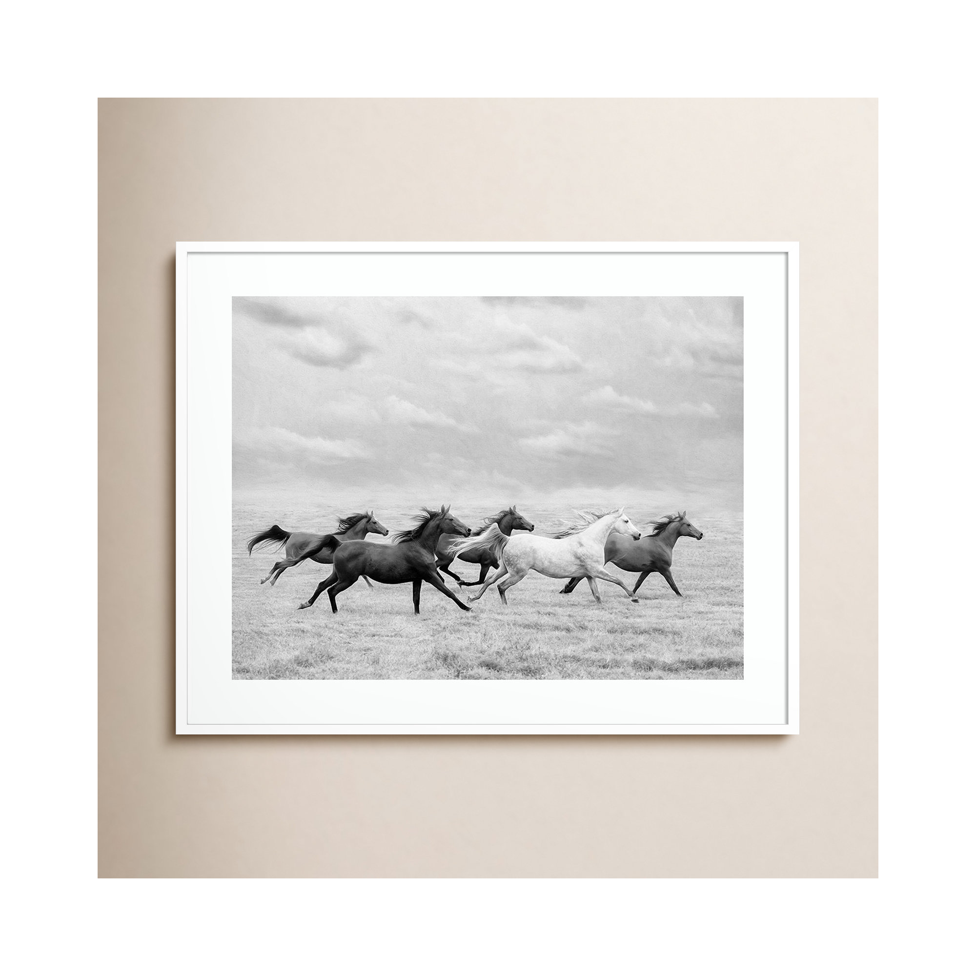 Horse Run I by PHBurchett, White, 33" H x 41" W