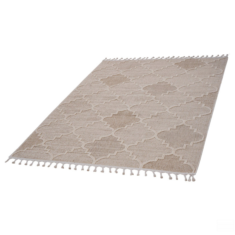 Trellis Indoor/Outdoor Area Rug, Rectangle 4' x 6'2"