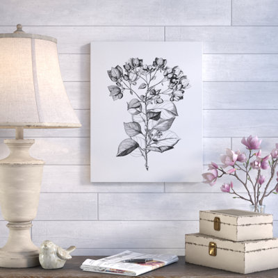 " Botanical Black And White I "