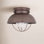 Audrey Seeded Bell Outdoor Semi-Flush Mount