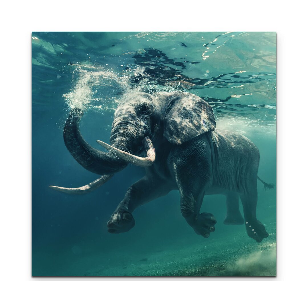 Leinwandbild Schwimmender Elefant