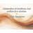 Artsy Quote By Erica Cameron Gallery Wrapped Canvas-268573157