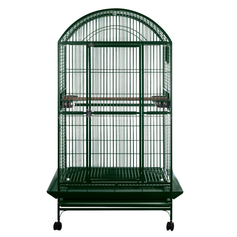 Cage XX XX, vert