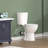 Rear Outlet Toilet 19" Extra Tall Toilet with Dual Flush & Space-saving, Two Piece Wall Mounted Toilet