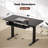 Lilja Electric Height Adjustable Standing Desk with Keyboard Tray-473560490-473560488