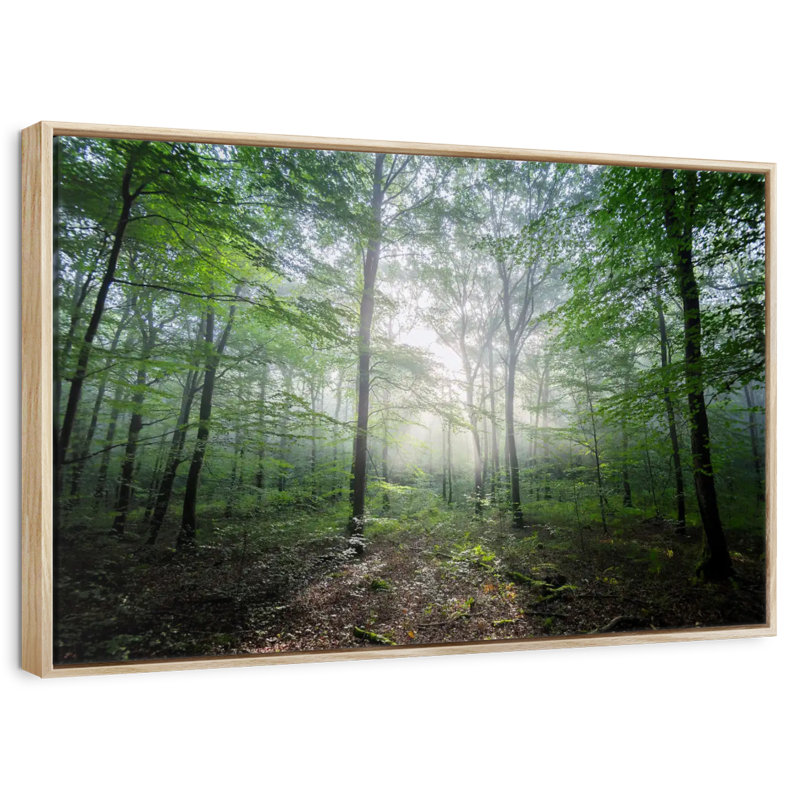 Lighting Forest II, Cadre flottant en bois naturel, 46 po x 31 po