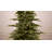 Lighted Christmas Tree-1282051876