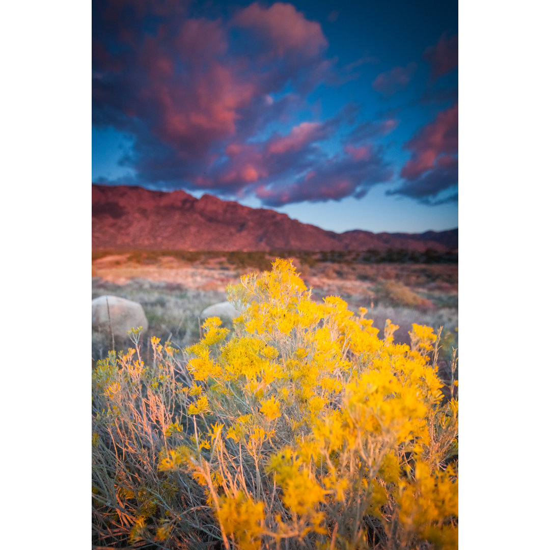 Sonnenuntergang-Landschaft von Amygdalaimagery - Leinwandbild