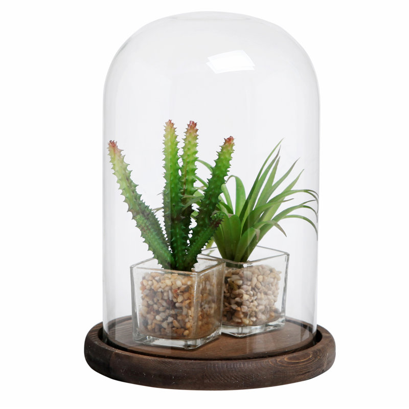 Decorative Urns & Jars