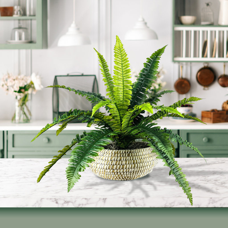 22'' Faux Fern Plant in Wicker/Rattan Basket