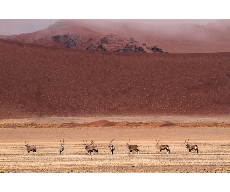 Wrapped Canvas Print, 60.96 cm H x 91.44 cm W
