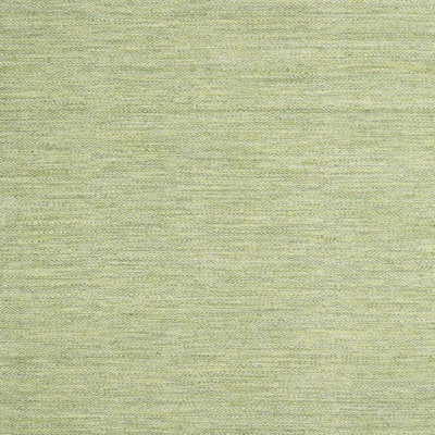 Indoor Rug