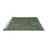 Oriental Indoor Rug-1662308814