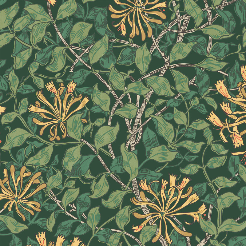 Papier peint William Morris Honeysuckle Verde, Vert foncé