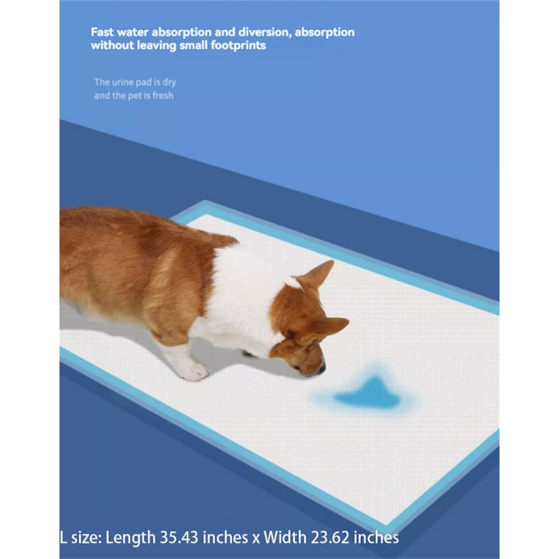 Tapis pour chien (ensemble de 20)