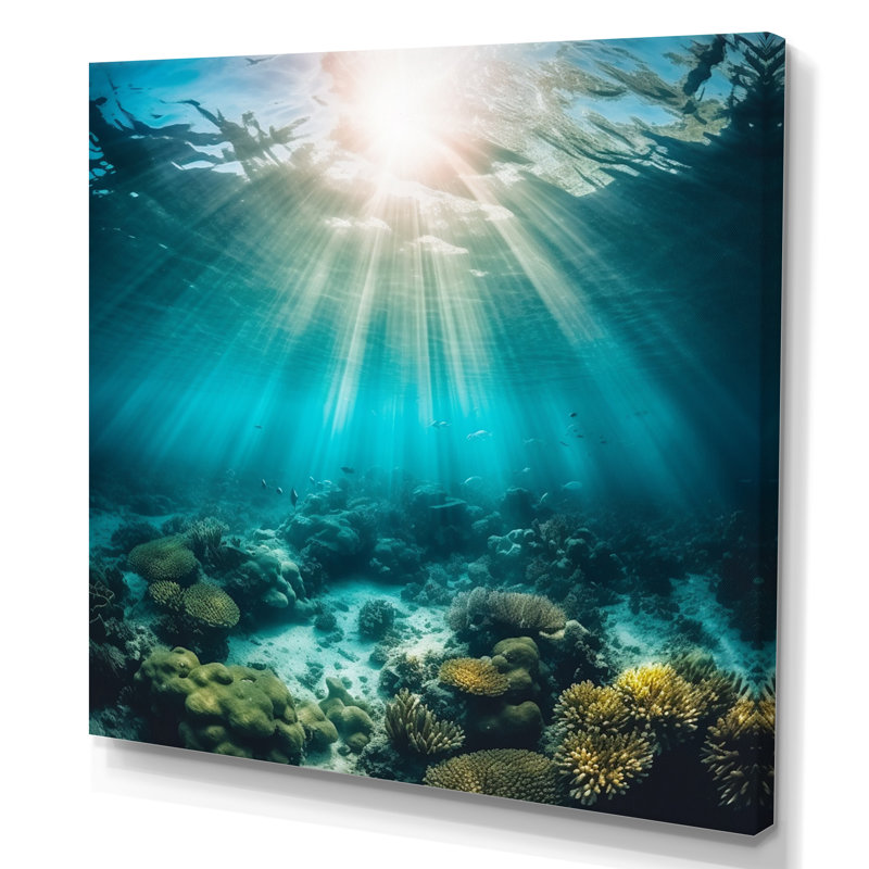 Underwater Coral IV - art mural côtier pour le salon, H 36 po x l 36 po x P 1,5 po, Toile tendue