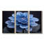 Monochromes noirs et bleus «Dahlia Bloom» - ensemble d'art mural Dahlia-107163784-107163787