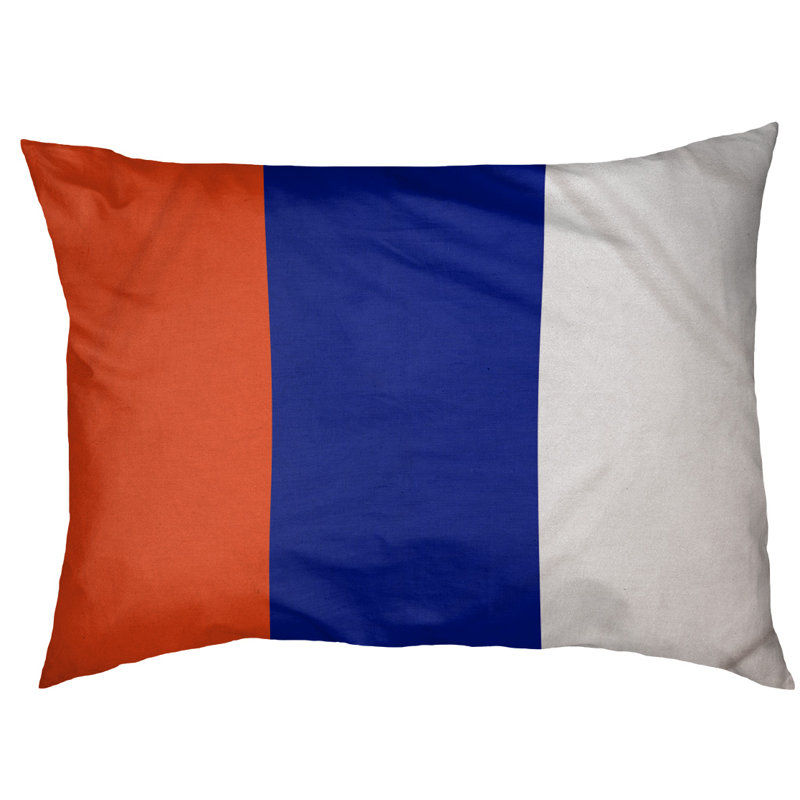 Coussin pour chien Indiana, Très grand (l 50 po x P 40 po x H 17 po), Orange / bleu / blanc