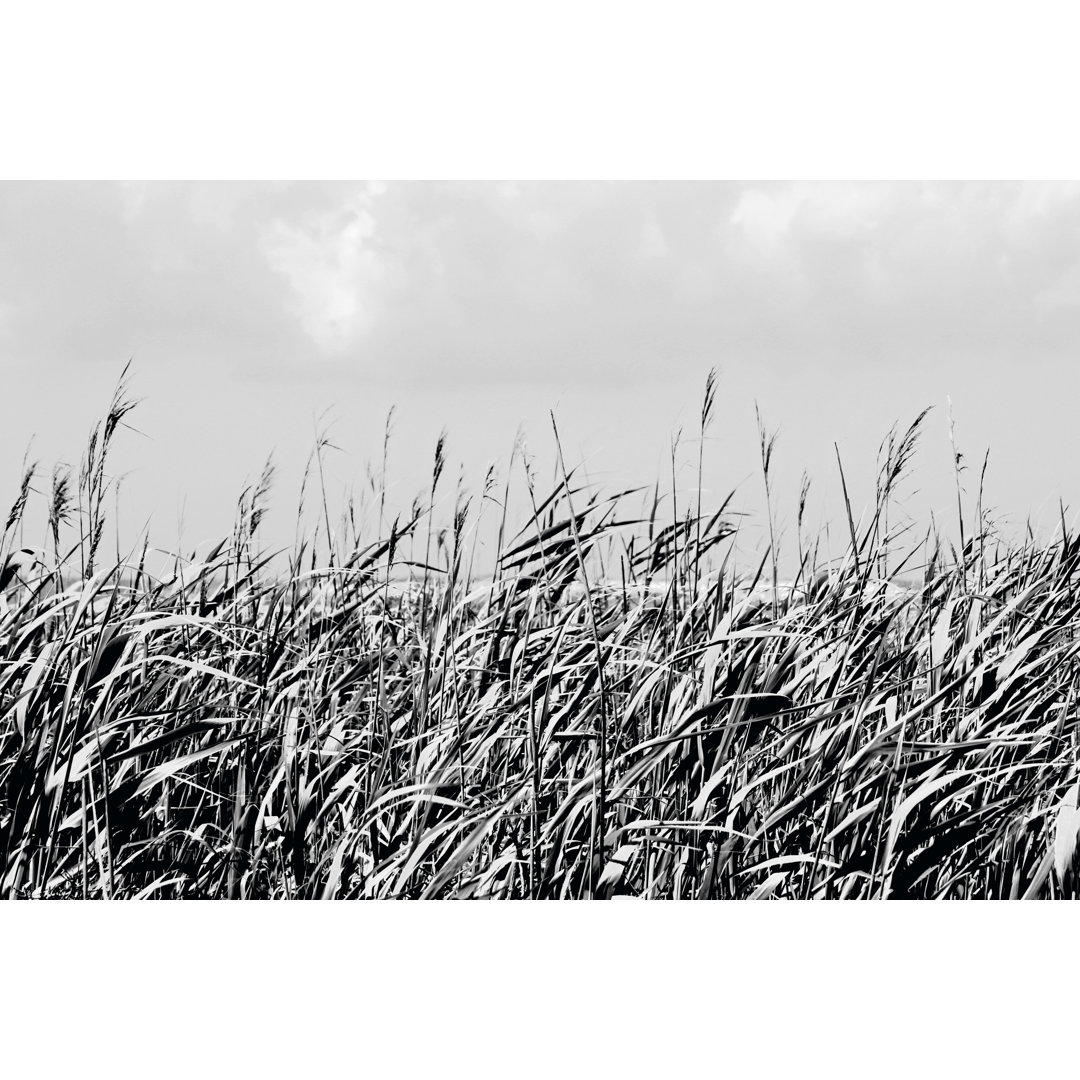 Leinwandbild Dune Triptych I